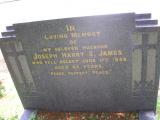 image of grave number 408985